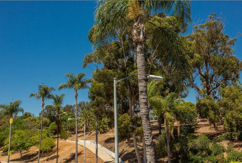 Cozy Studio Next To San Diego Dt And Balboa Park Ngoại thất bức ảnh